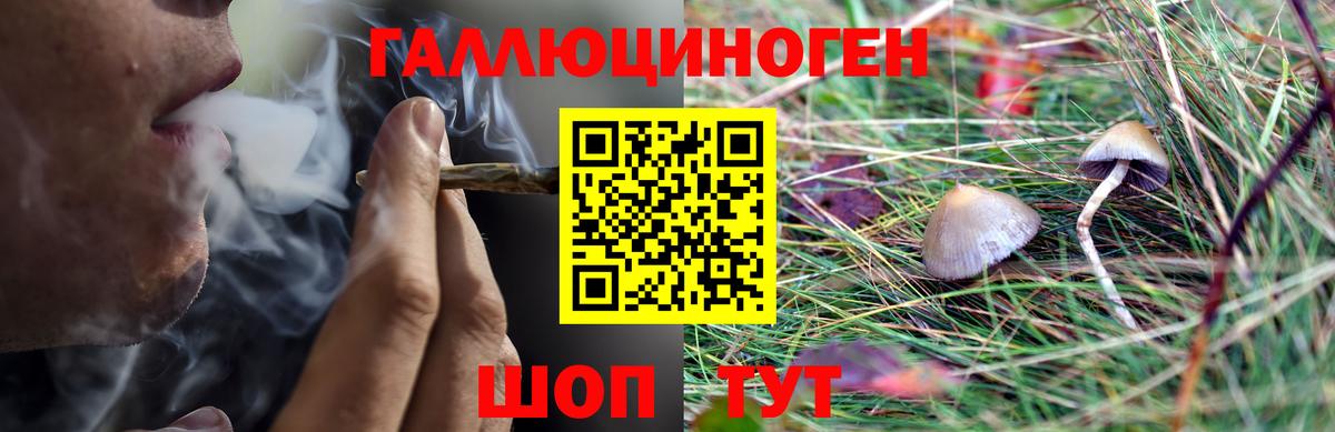 купить наркотики сайты  Псилоцибиновые грибы Magic Shrooms  Вход с VPN  Челябинск 